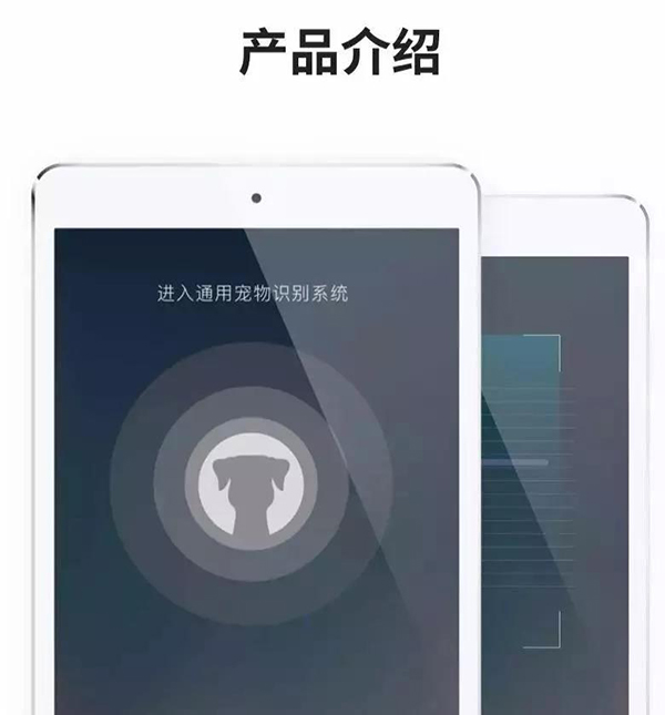 寵物用品